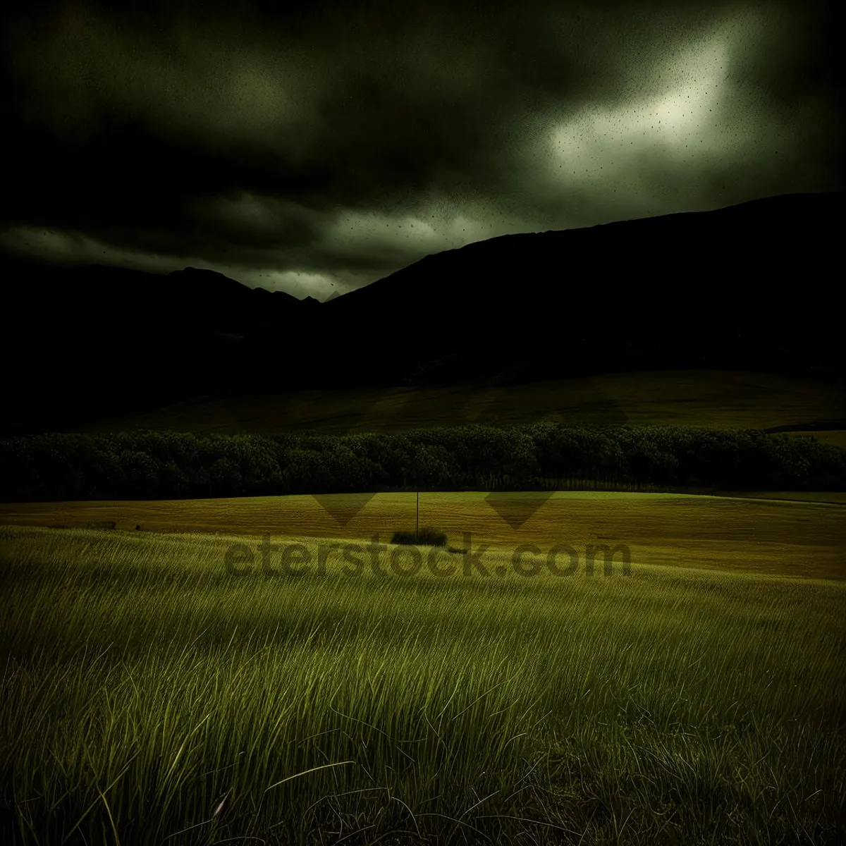 Picture of Serene Rural Skyline with Vast Green Fields