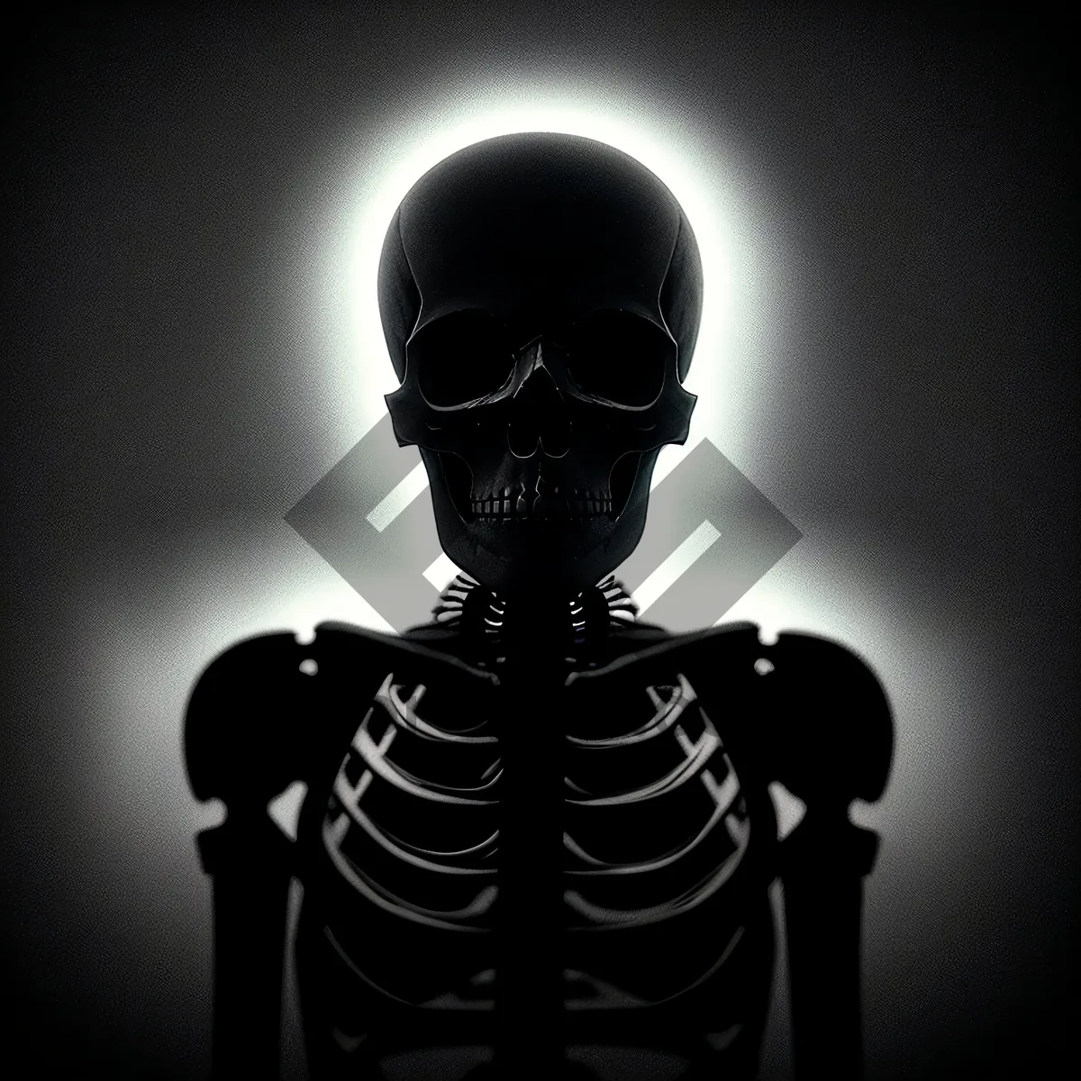 Picture of Anatomical Bodybuilder: Illuminating the Human Skeleton