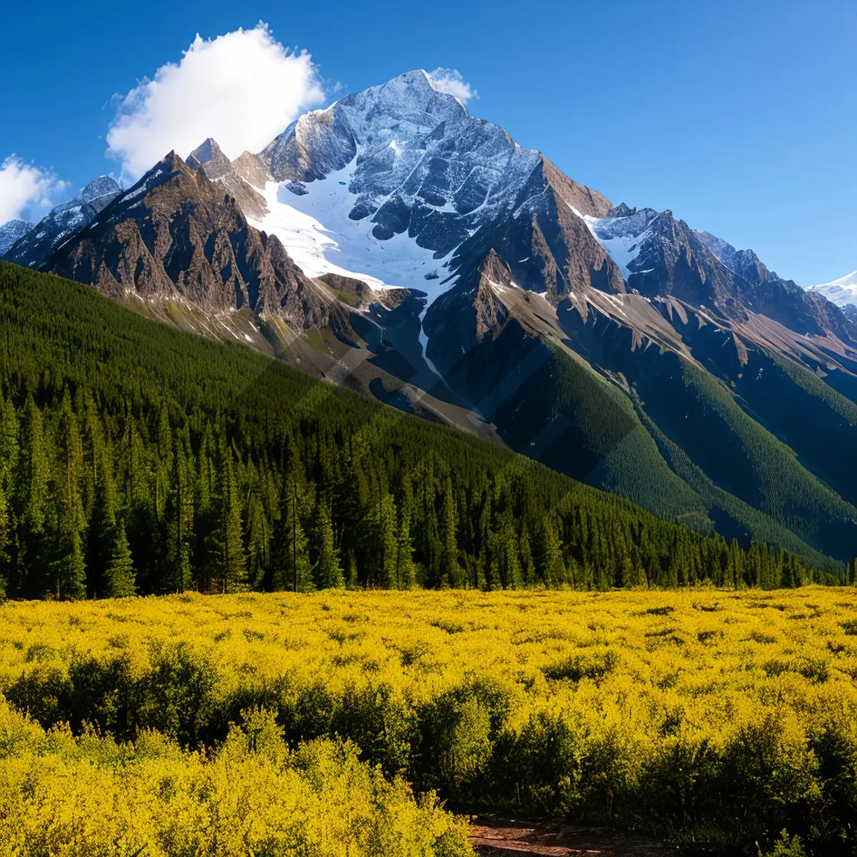 Picture of Mustard Range: Majestic Mountains and Serene Scenery