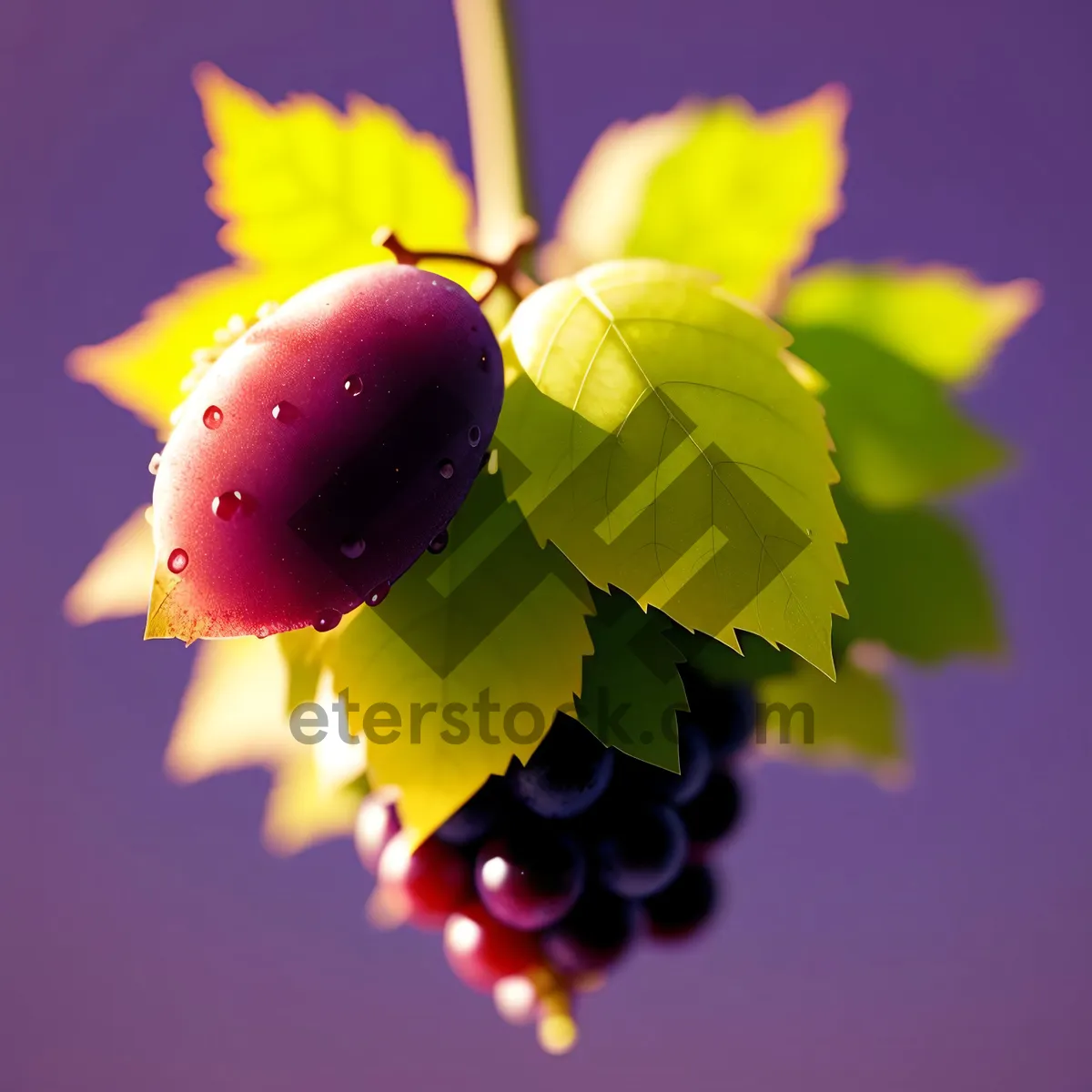 Picture of Vibrant Autumn Harvest: Colorful Fruits and Leaves