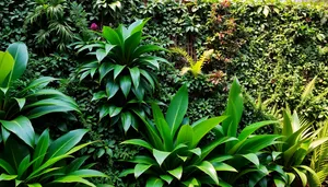 Tropical Agave Plant with Pineapple Fruit.