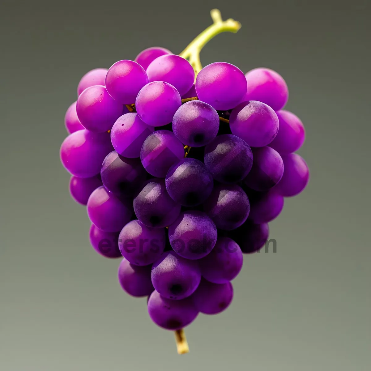 Picture of Juicy Lilac Grapes: Fresh, Sweet, and Ripe