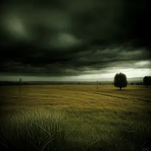 Golden Hay Bale in Rural Landscape