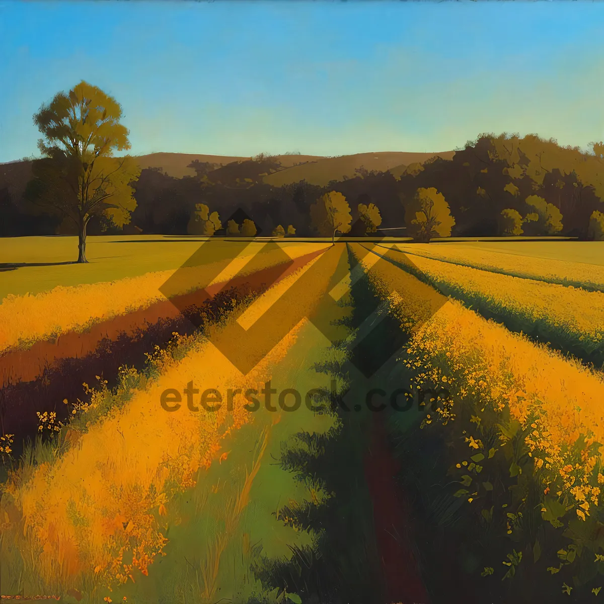 Picture of Golden Rapeseed Field Under Sunny Sky