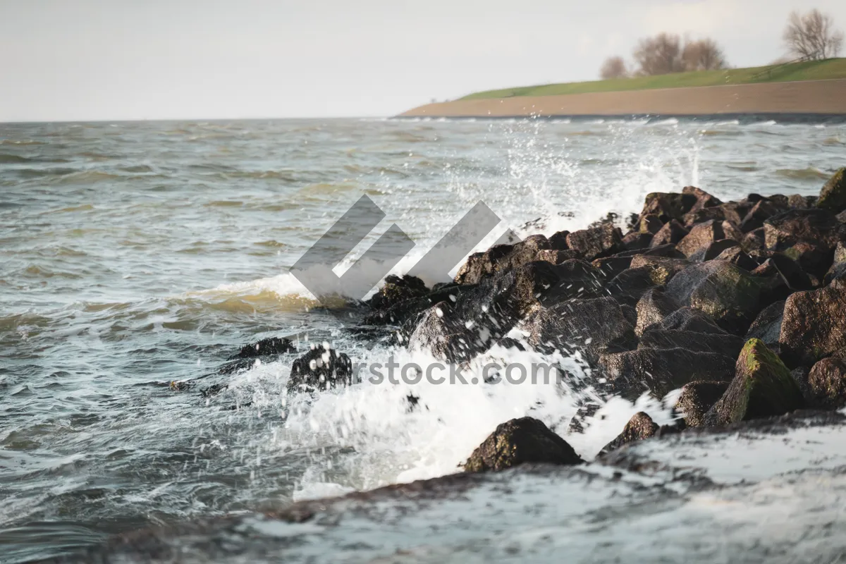 Picture of Tropical Island Beach Waves Scenic Landscape View