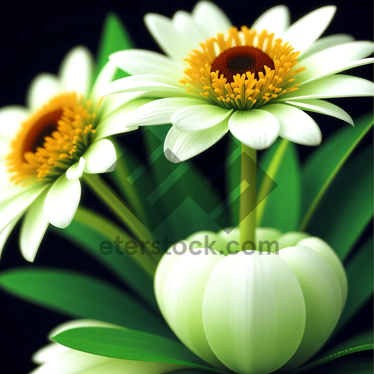 Picture of Yellow Daisy Blossom in Meadow