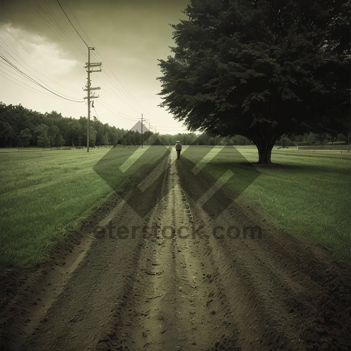 Picture of Sunset over rural landscape with winding road