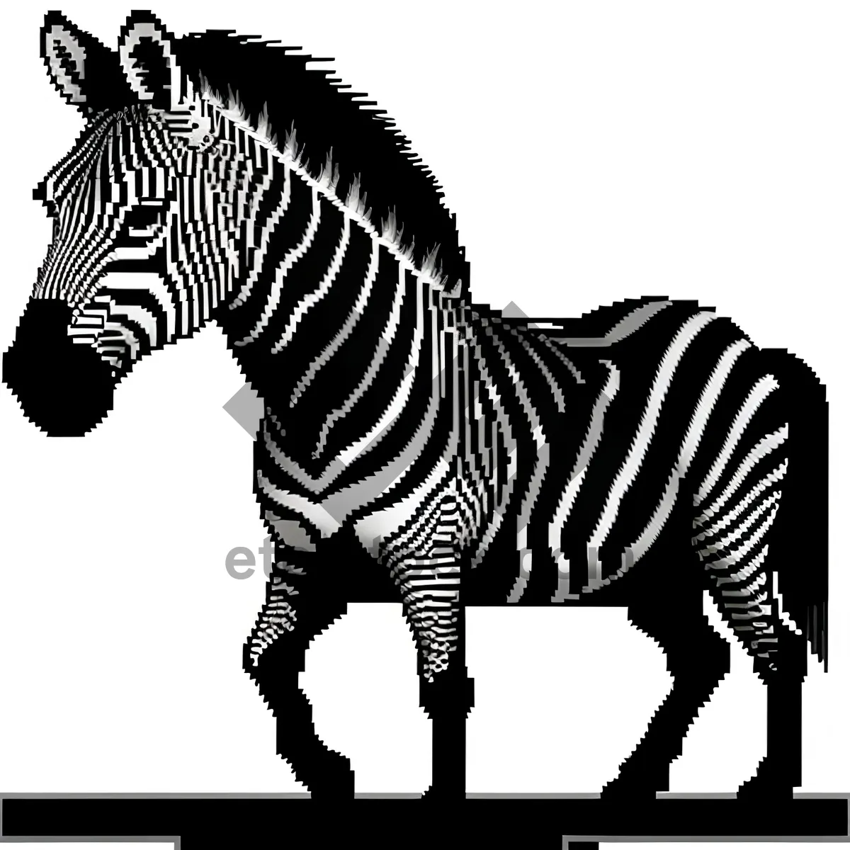 Picture of Striking Zebra Gracefully Roams the Grass