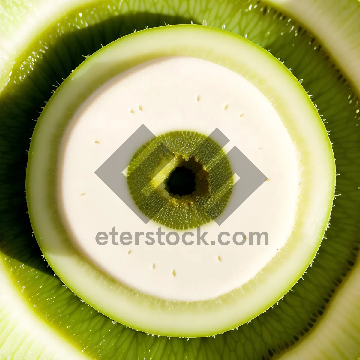 Picture of Juicy Kiwi Fruit Slice - Fresh and Healthy Snack