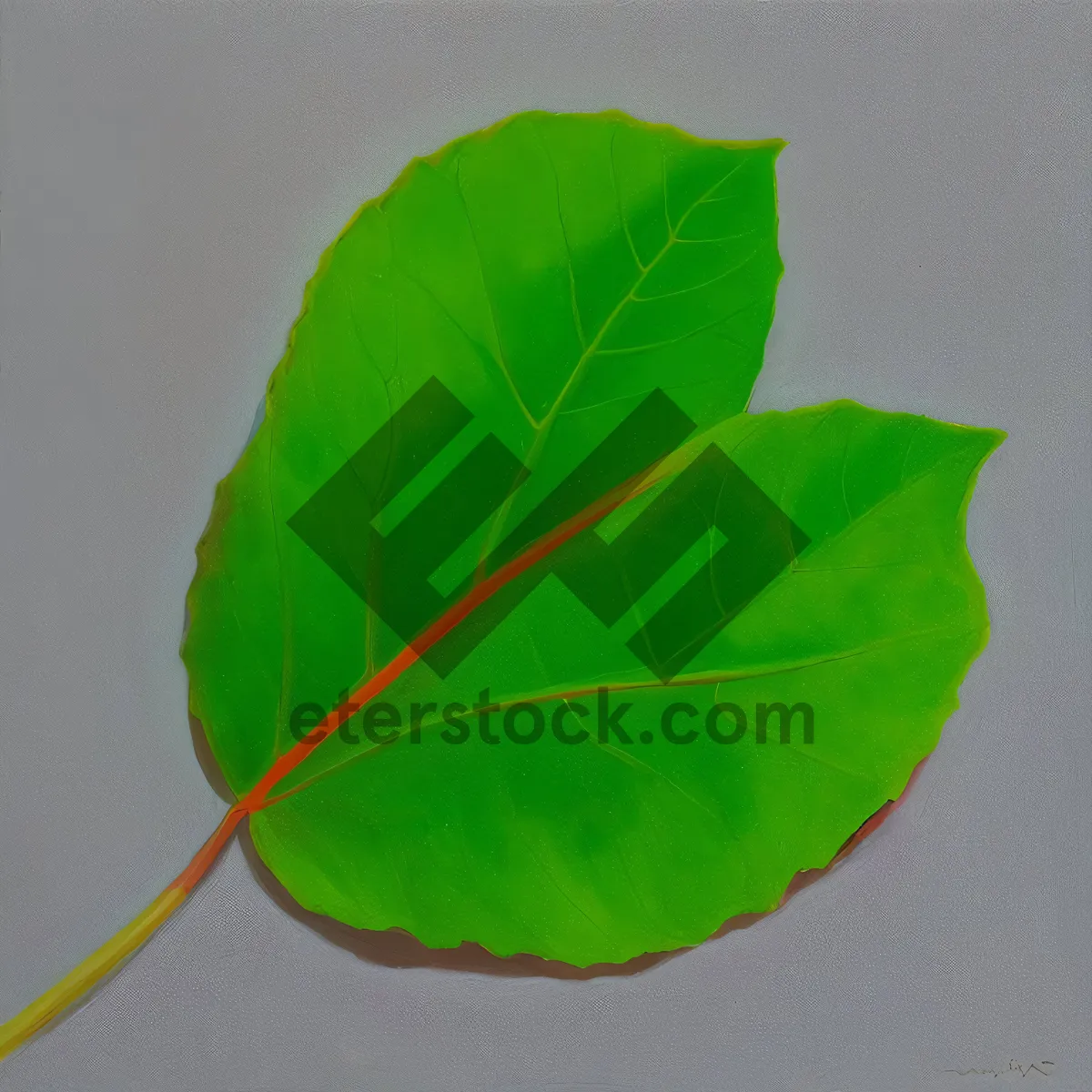 Picture of Bright Taro Leaf: Wild Ginger Foliage Wallpaper