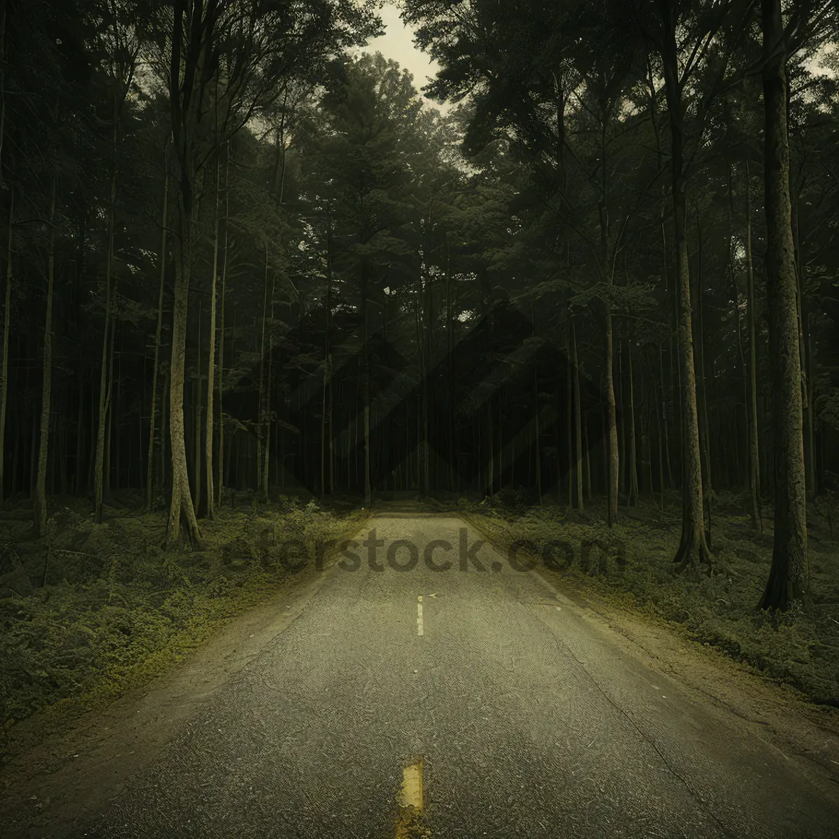 Picture of Scenic countryside with tree-lined highway and sprinkler mechanism.