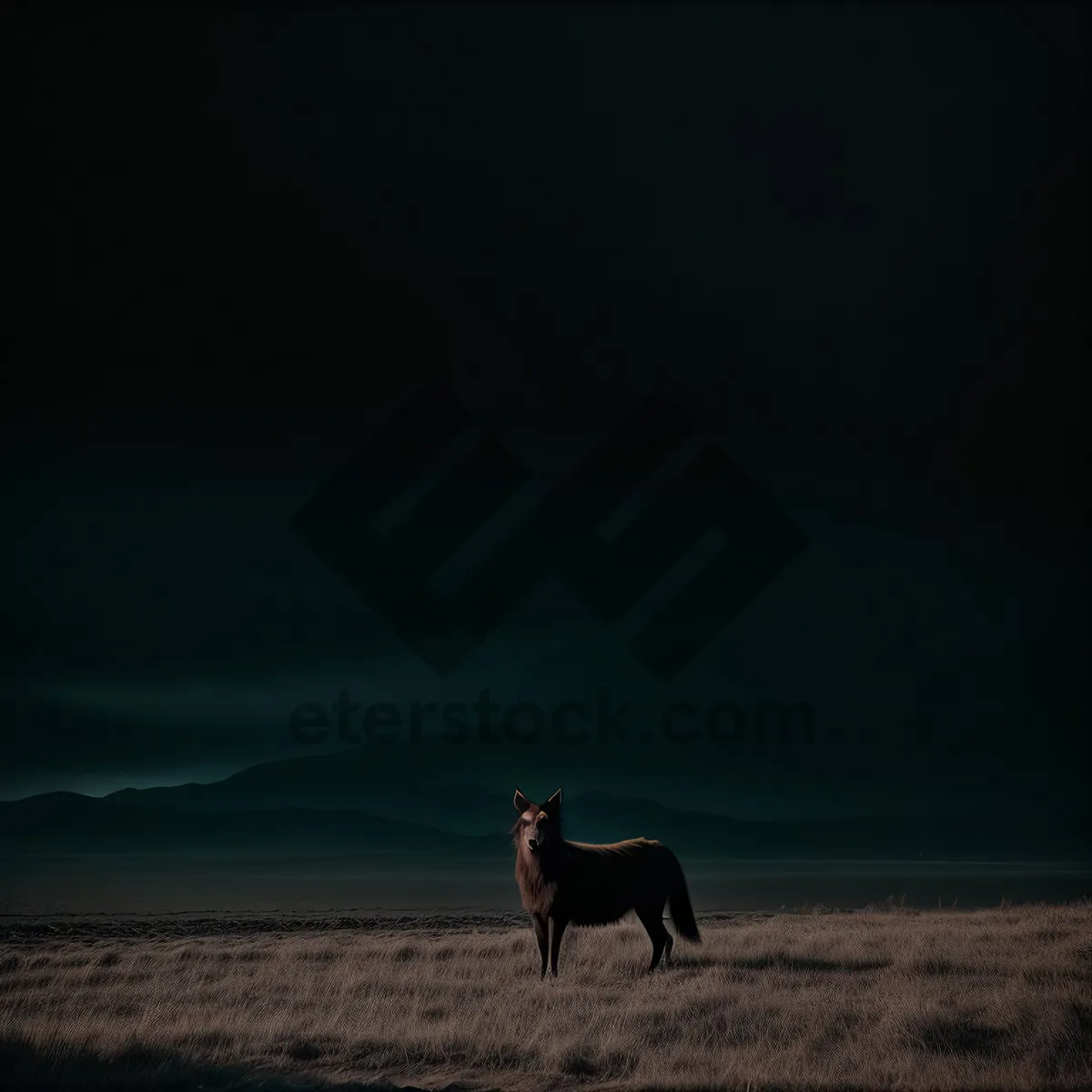 Picture of Sunset Ranch: Majestic Horse Silhouette in Wild Landscape