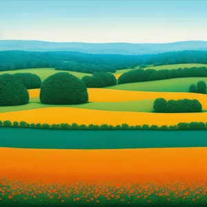 Countryside Landscape - Summer Fields Under Clear Sky.