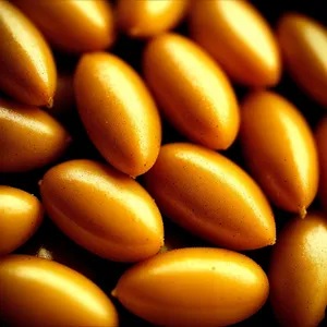 Nutrient-Packed Kidney Bean: A Wholesome Legume Delight