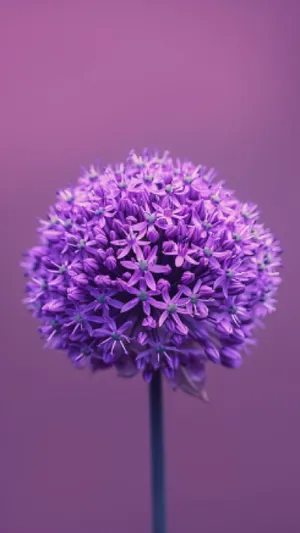 Spring garden blooms with lilac globe thistle