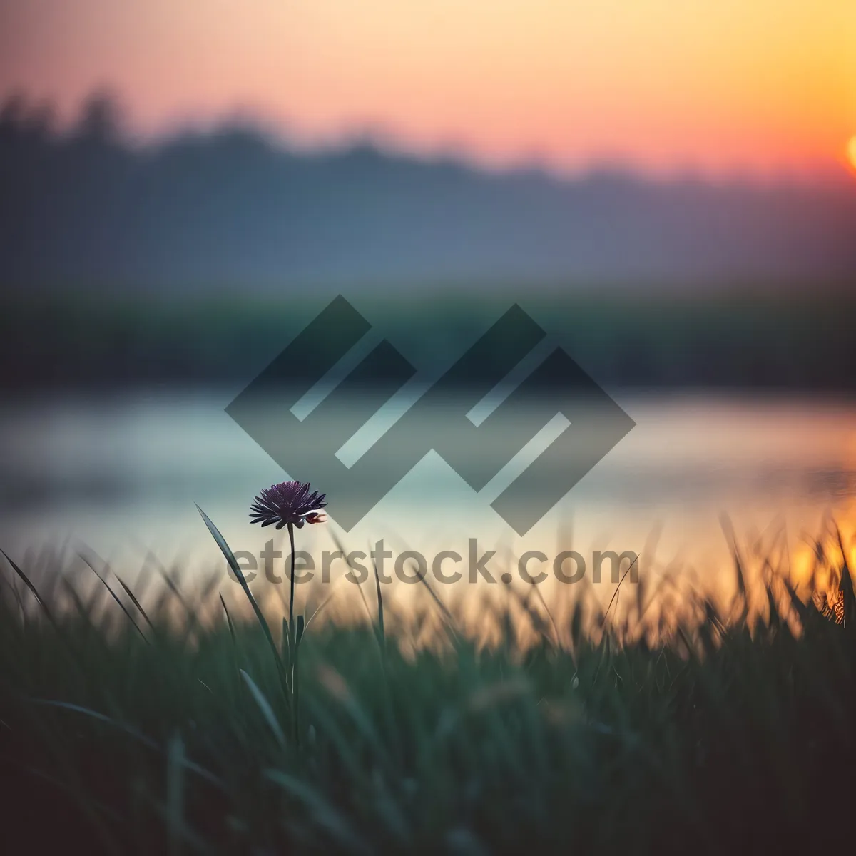 Picture of Majestic Sunset over Rustic Wheat Fields