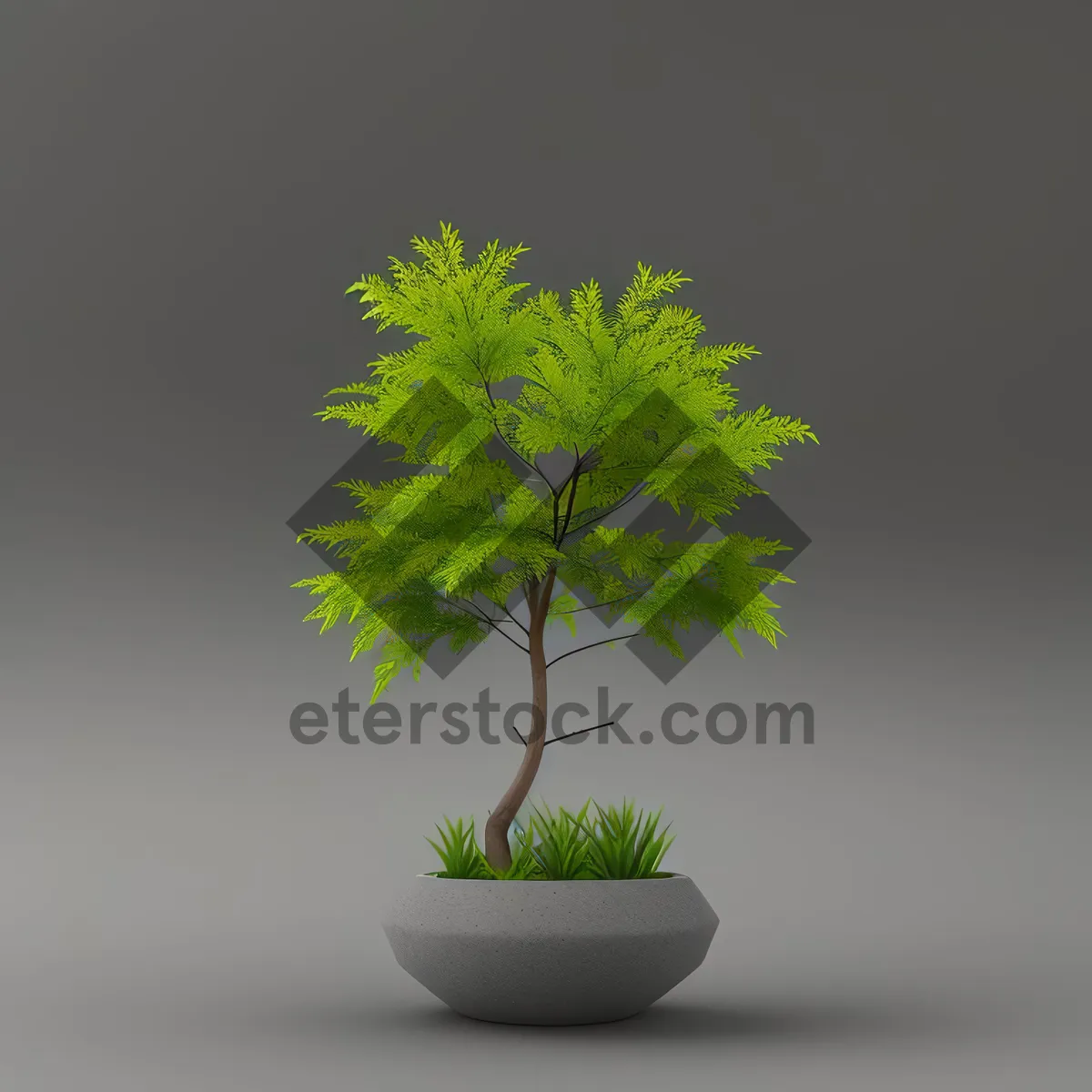 Picture of Evergreen Tree Branch with Parsley Decoration