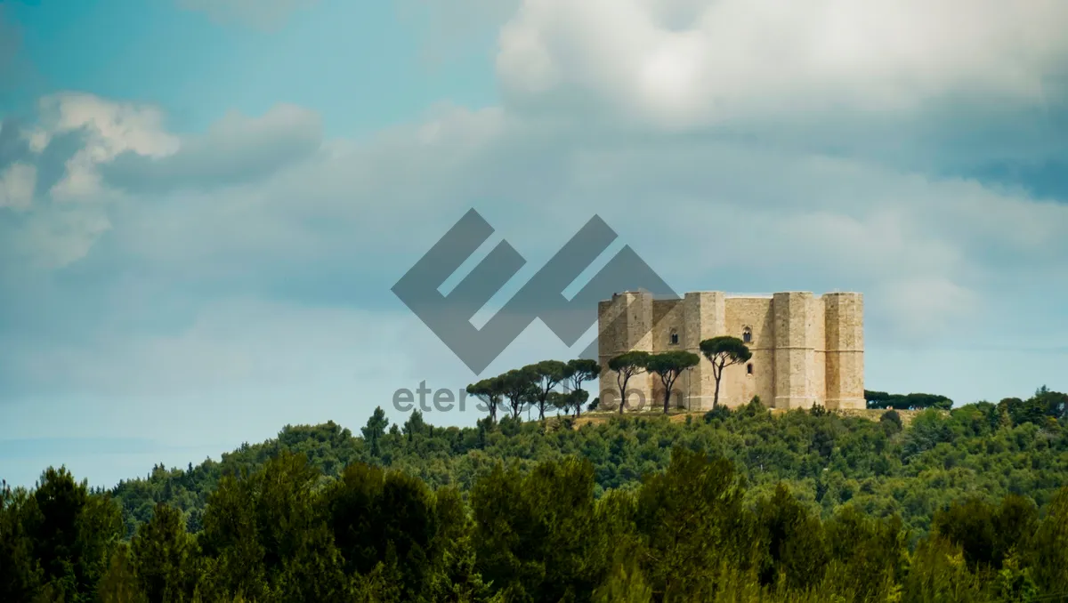 Picture of Ancient Stone Castle Tower in Historic Landscape Sky