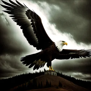 Majestic Bald Eagle Soaring with Grace