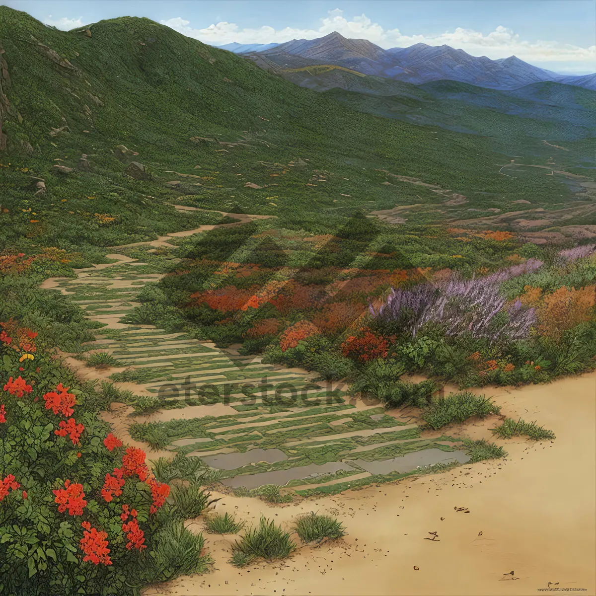 Picture of Highland Mountain Landscape with Blooming Poppy Flowers