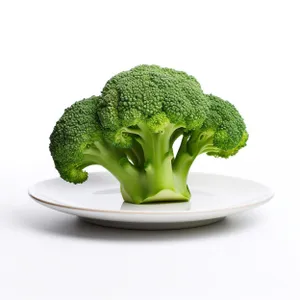 Fresh Organic Broccoli for Healthy Eating and Cooking