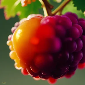 Refreshing Summer Berries Bursting with Natural Sweetness