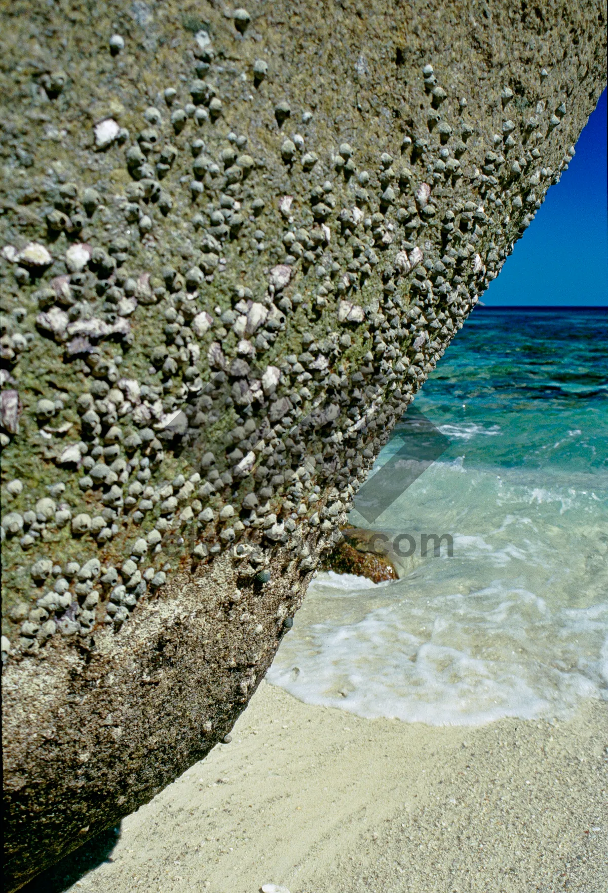 Picture of Tropical paradise beach with rocky coastline and barnacles. The colors and crystal clear water of the archipelago of the Similan Islands National Park, Thailand, Asia