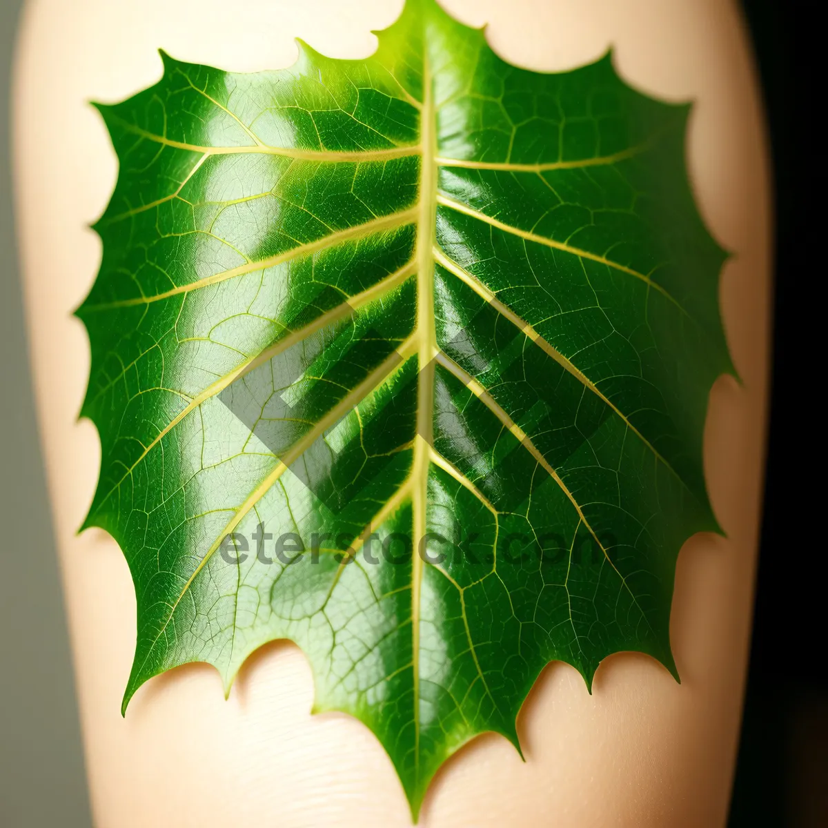 Picture of Fractal Leaf Design: Futuristic Wallpaper with Fig Tree Texture