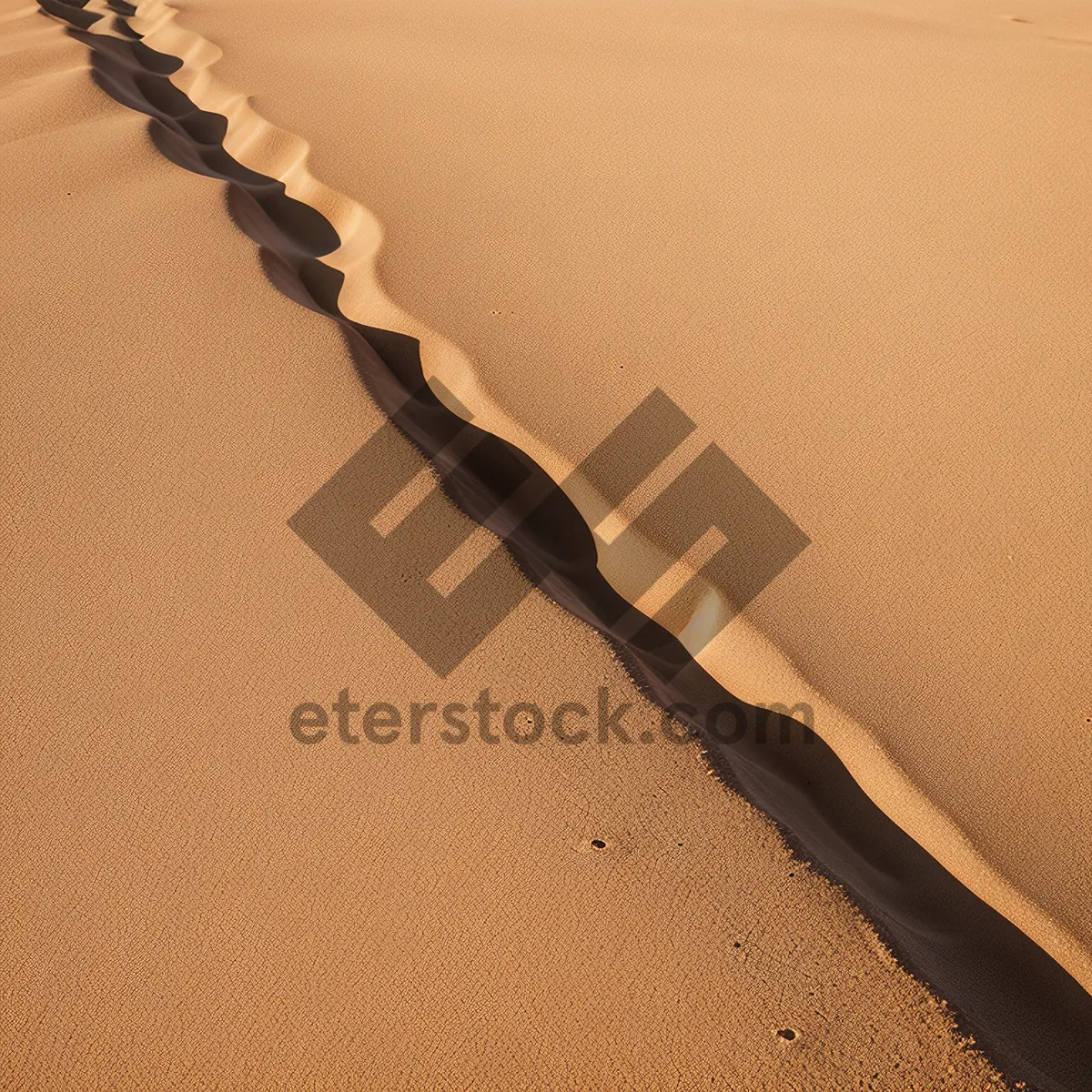 Picture of Sand Blade Texture: Captivating Sands, Exquisite Blade