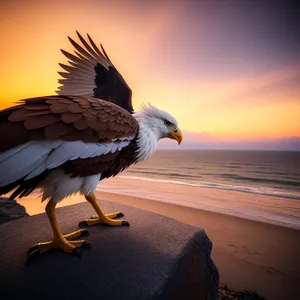 Majestic coastal predator soaring with piercing gaze.
