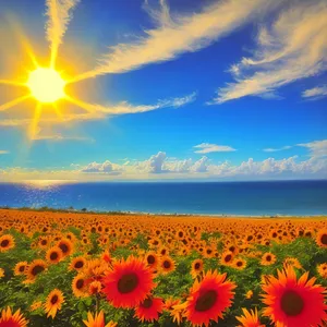 Vibrant Sunflower Field under Sunny Sky