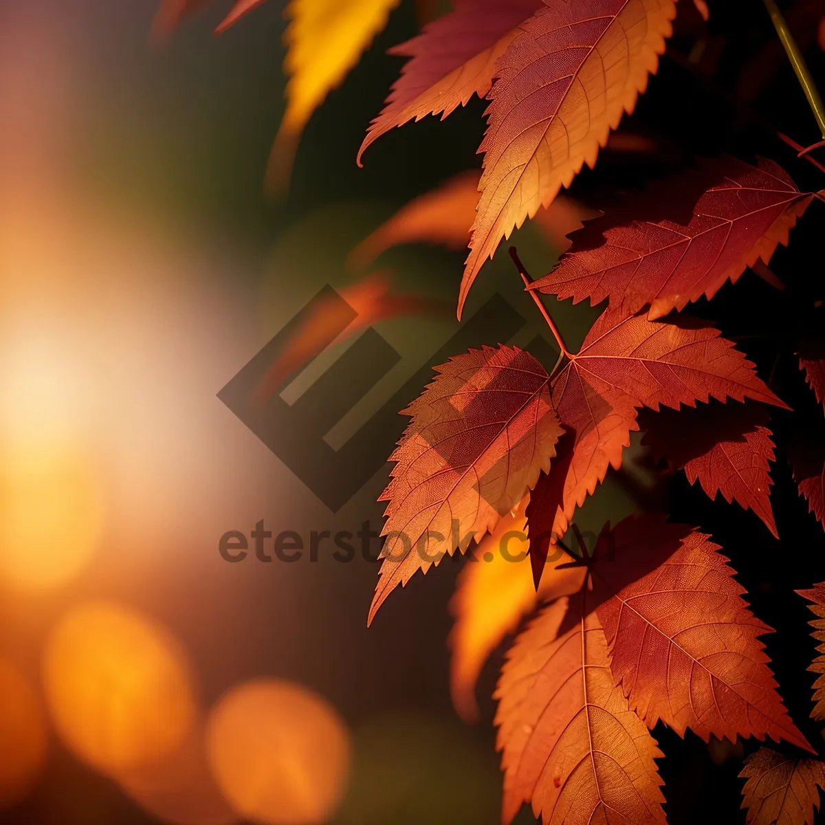 Picture of Autumn Leaf: Vibrant Colors of a Sumac Branch