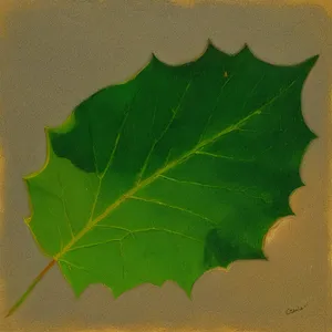 Vibrant Maple Leaves in a Summer Garden