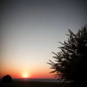 Golden Horizon – Summer Sunset Silhouette