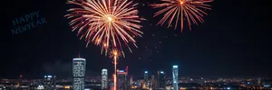 Colorful fireworks display bursts in city night sky.