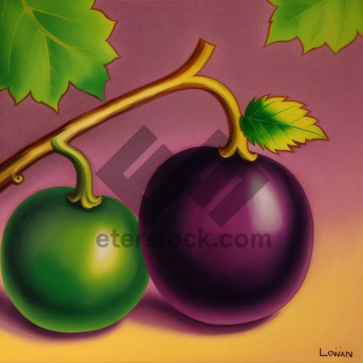 Picture of Ripe Cherry Fruit Decoration in Glass