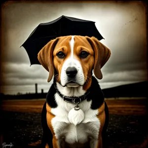 Adorable Beagle Hound Puppy - Cute Canine Breed Portrait