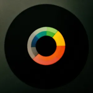 Shiny Black Music Record Circle Icon