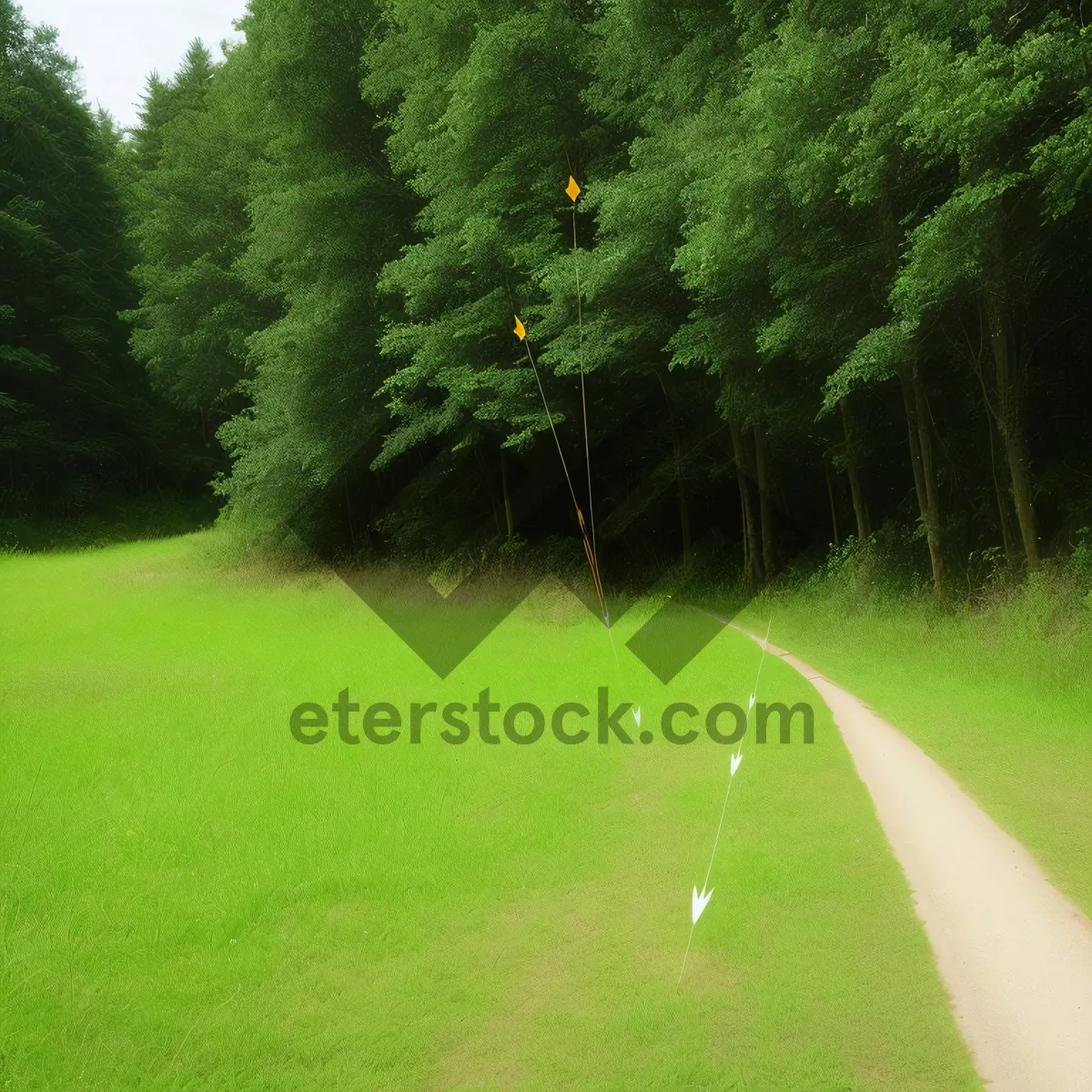 Picture of Sky-high Golf Fun on Sprinkler-Dressed Fairway