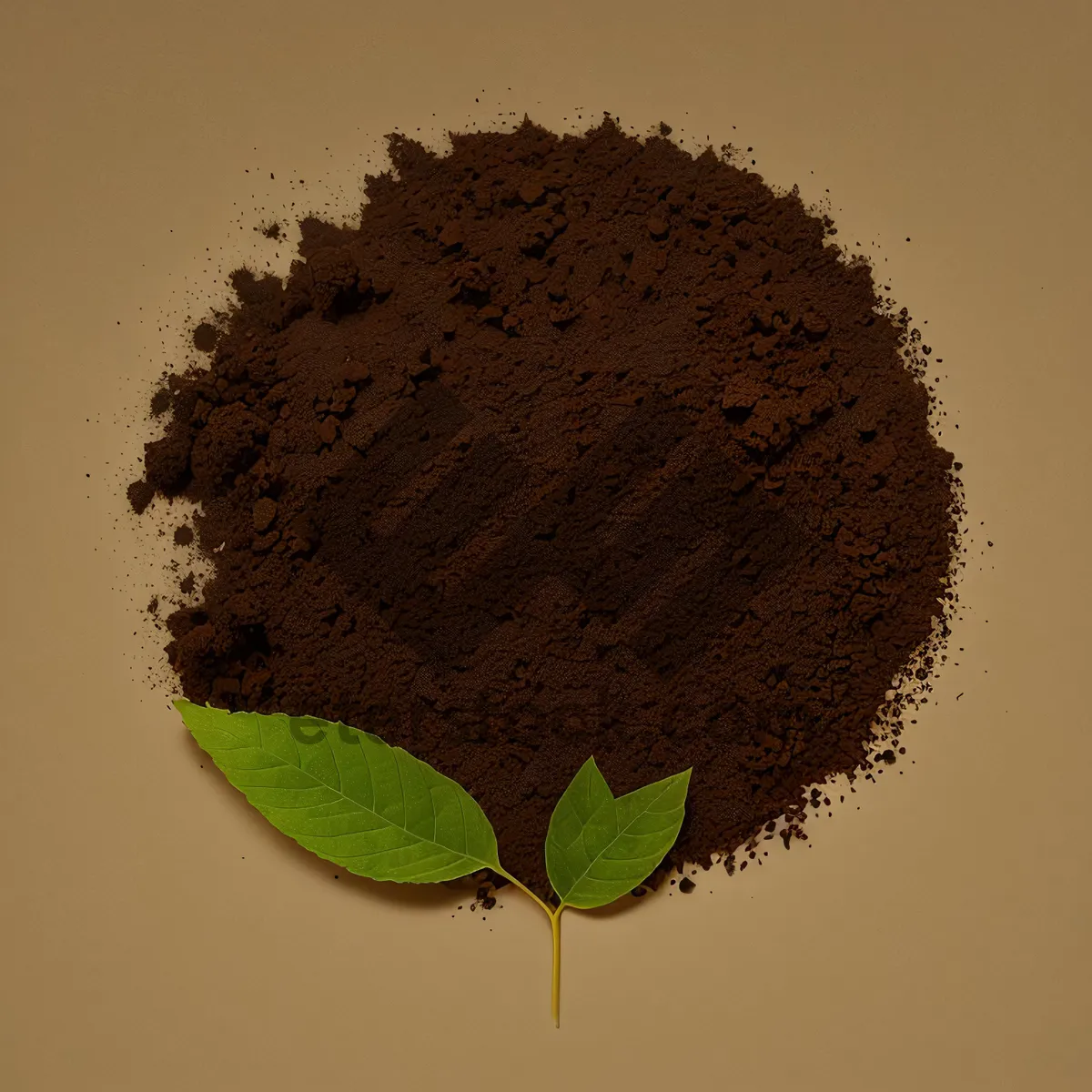 Picture of Brown Spice Tea Leaf - Natural Herb Flavor