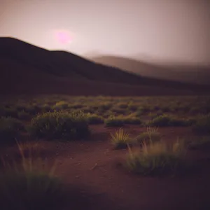 Golden Desert Sunset Over Dunes