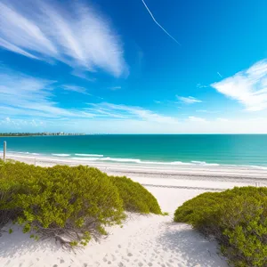 Serene Sea Escape: Tropical Paradise on the Beach