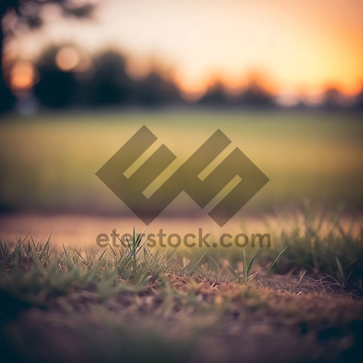 Picture of Majestic Horizon: A Vibrant Sunset over Fields"
or
"Golden Sunrise: Summer's Glowing Meadow"
or
"Radiant Sunset: Bursting Colors in the Sky"
or
"Tranquil Dusk: A Serene Countryside Vista"
or
"Sun-kissed Landscape: Blissful Summer Fields