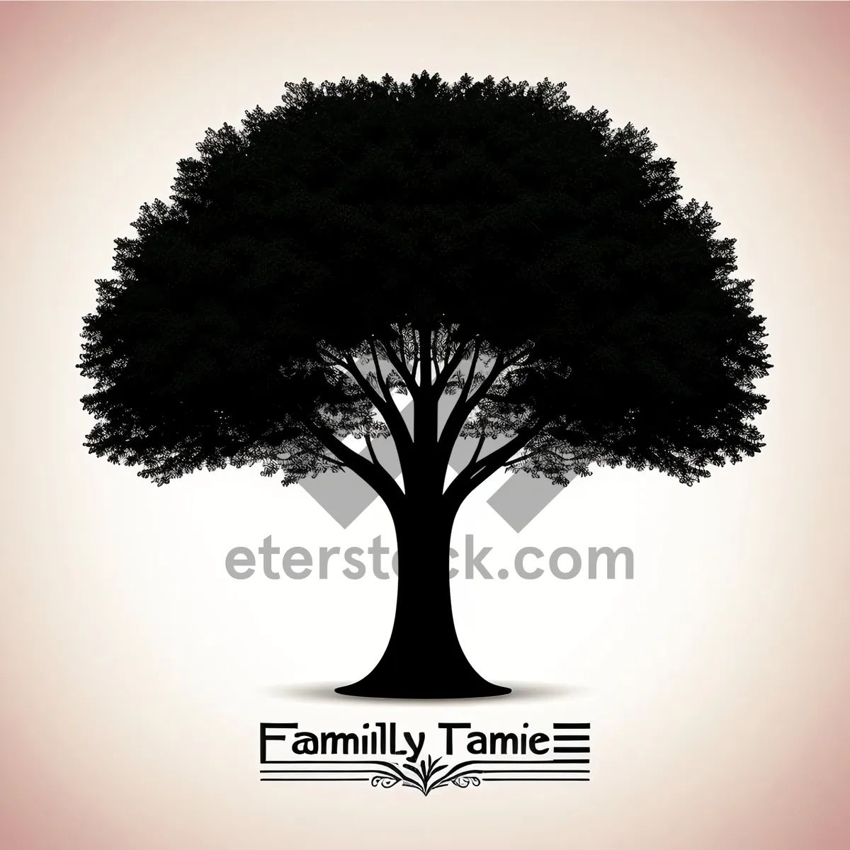 Picture of Silhouette of Evergreen Oak Tree Branch