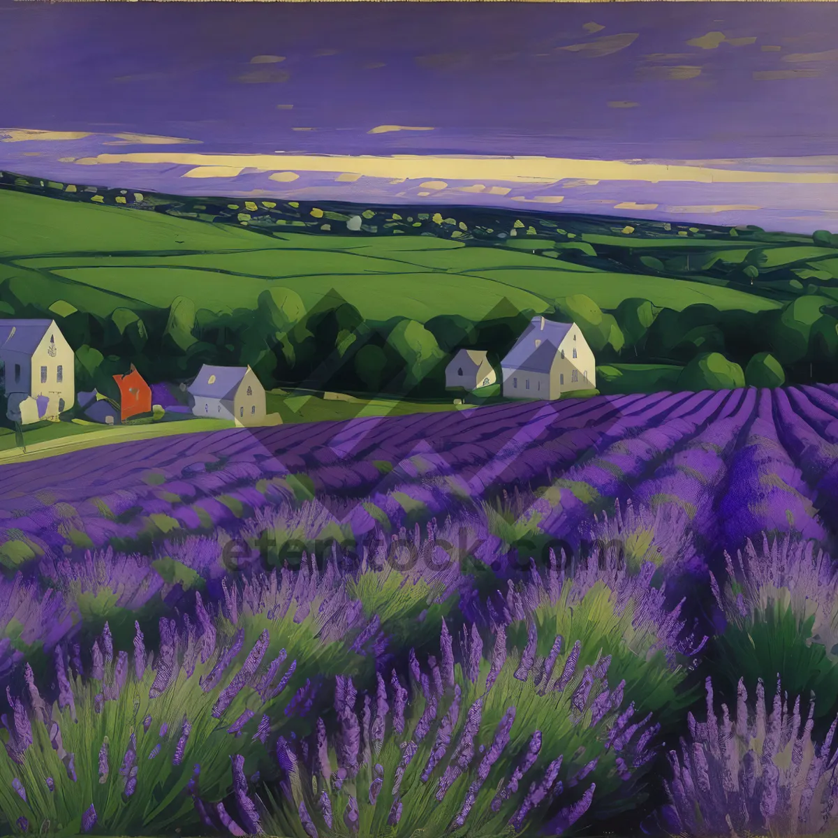 Picture of Lavender Field Bliss: Serene Summer Landscape
