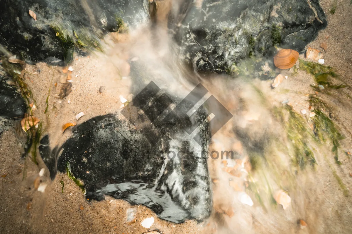 Picture of Wild Waterfall Flowing Through Mossy Rocks in Forest