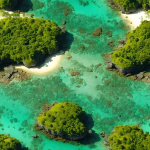 Colorful Coral Reef Teeming with Exotic Marine Life