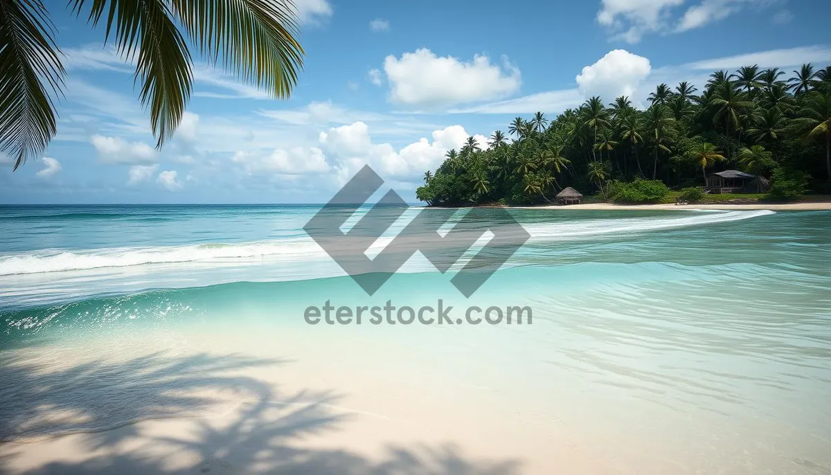 Picture of Tropical Beach Relaxation with Turquoise Waves and Palm Trees