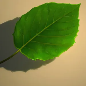 Bright Taro Leaf: Natural, Vibrant, Textured Graphic