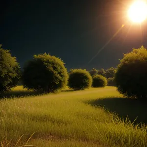 Serene Summer Sunset over Rural Meadow
